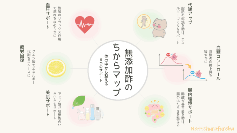 無添加酢の健康効果をまとめた放射型マップ。代謝アップ、血糖値コントロール、腸内環境サポート、美肌、疲労回復、血圧安定の6項目を図示