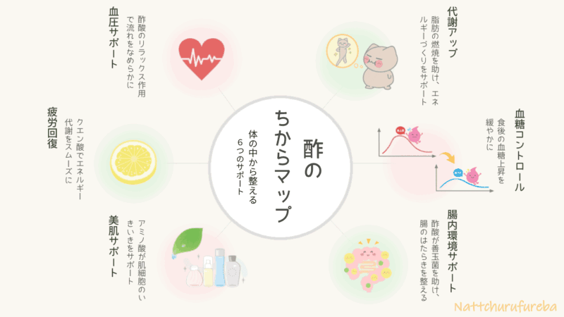 酢の健康効果をまとめた放射型マップ。代謝アップ、血糖値コントロール、腸内環境サポート、美肌、疲労回復、血圧安定の6項目を図示