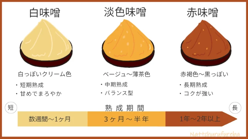 味噌の色の違い（白味噌・淡色味噌・赤味噌）を熟成期間とともに示した図解イラスト