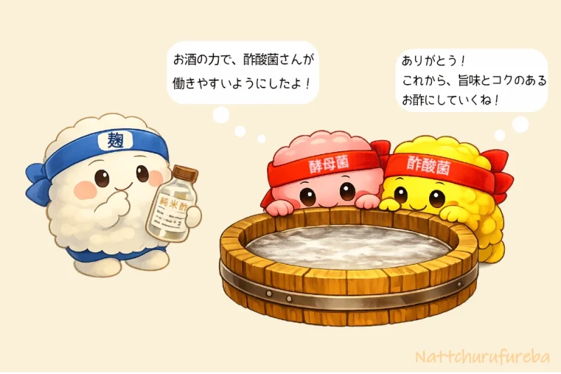麹菌が原材料ラベルを確認し、酵母菌と酢酸菌が静置発酵の木桶を覗くお酢の造り方イラスト